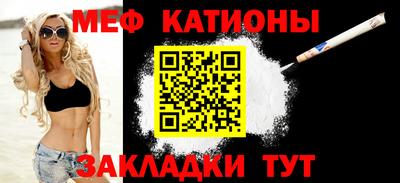 индика Гатчина
