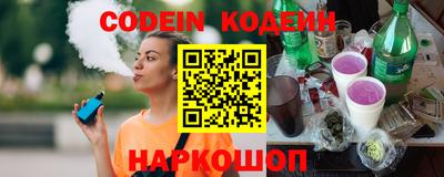 индика Гатчина