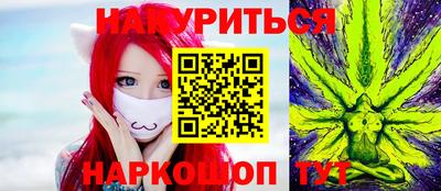 индика Гатчина