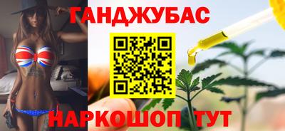 индика Гатчина