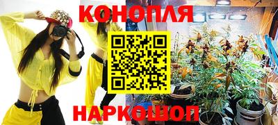 индика Гатчина