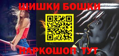 индика Гатчина