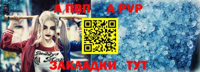 индика Гатчина