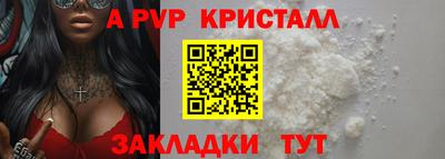 индика Гатчина
