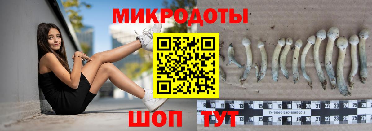 Аксай  Галлюциногенные грибы прущие грибы  Вход с VPN 